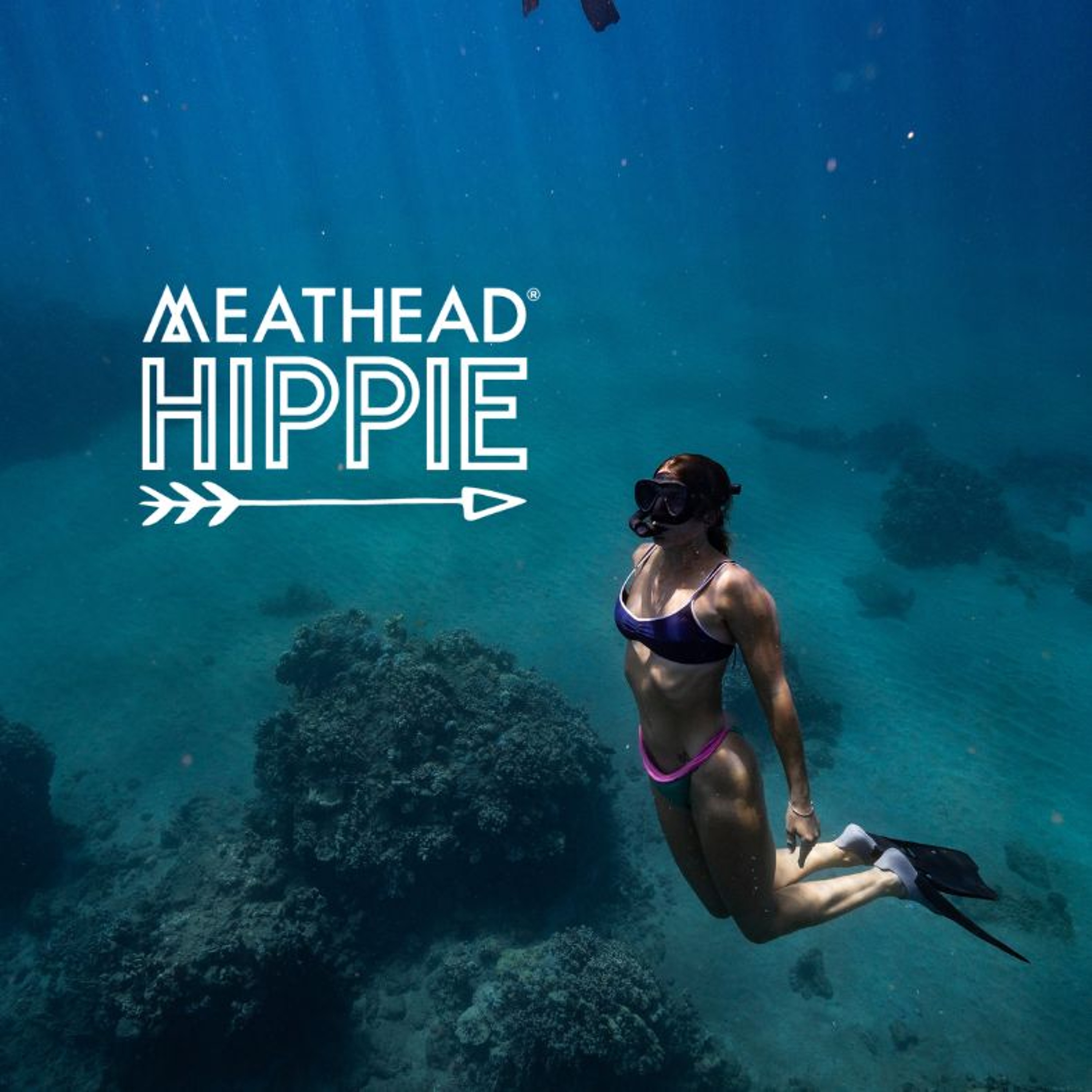 The Four Phases of Your Cycle - And Why Tracking Changes Everything