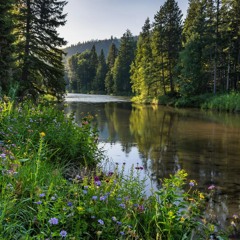 Молитва 15 святителю Феодосию