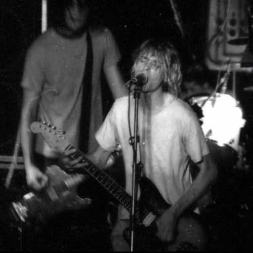 ivy league - nirvana