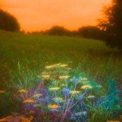 Ishmael Ensemble - Golden (1-800 GIRLS Remix).mp3