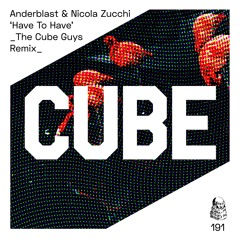 Anderblast & Nicola Zucchi 'Have To Have' (The Cube Guys Remix) - OUT NOW !