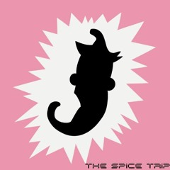 TheSpiceTrip