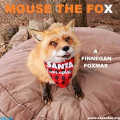 MOUSE THE FOX - A FINNEGAN FOXMAS - VOL.38 - 27.12.2021
