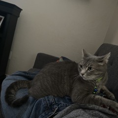 A Song About A Girl Who Doesnt Exist