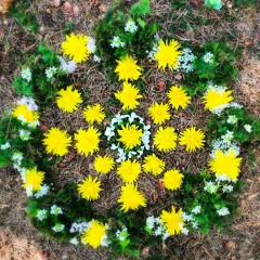 ♥︎*°Alegría°*♥︎