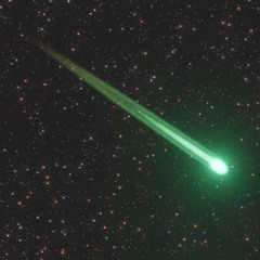 Starlink