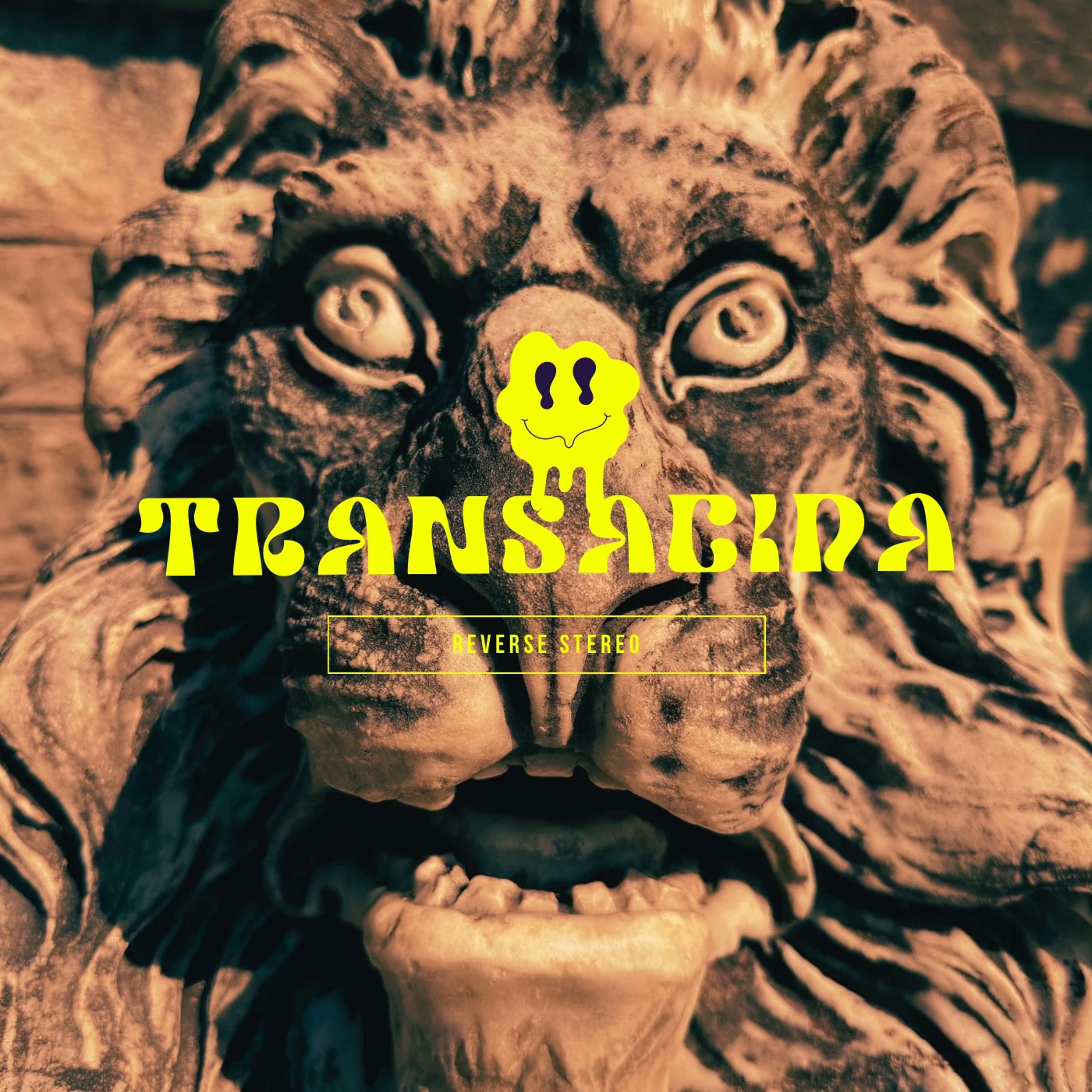 Transacida episode artwork