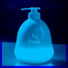 No Pride (NNN) (Radio Edit) (Audio)