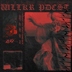 WLLKR PDCST - I THOUGHT YOU WON´T COME BACK