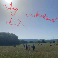 They don't understand