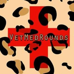free read VetMedRounds Rounding Book: Leopard Print (VetMedRounds Rounding Books)