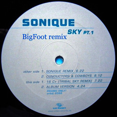 Sonique - Sky (BigFoot remix)