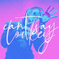 Travis scott - Can't say (Lowkey Remix)