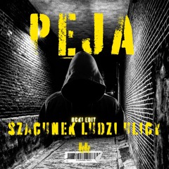 Peja -  Szacunek Ludzi Ulicy [RCK1 Edit]