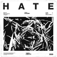 SCHLIMM - HATE