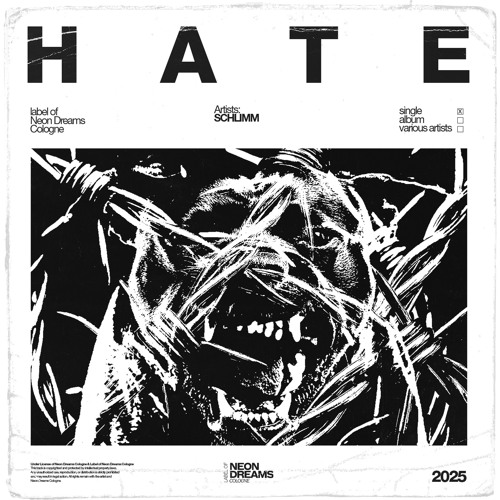 SCHLIMM - HATE