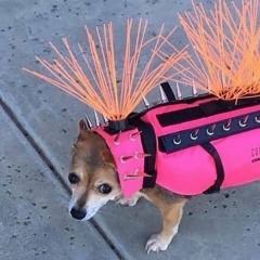 Industrial/Darkwave 2