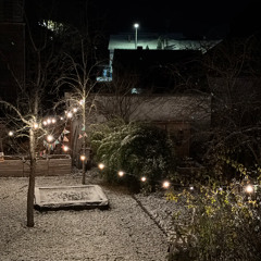 Poinciana (Nat Simon & Buddy Bernier) Live - Anna Franckaert