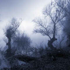 Ashot Danielyan - On The Dark Side