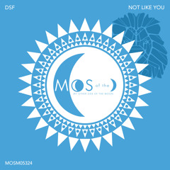 Not Like You (Original Mix)