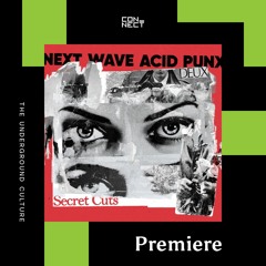 Günce Acı - Being In The Shadows // Next Wave Acid Punx DEUX - Secret Cuts  [Eskimo Recordings]