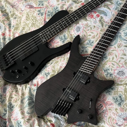 Soft Floppy Ears And A Cold Nose - 12 14 24, 15.09