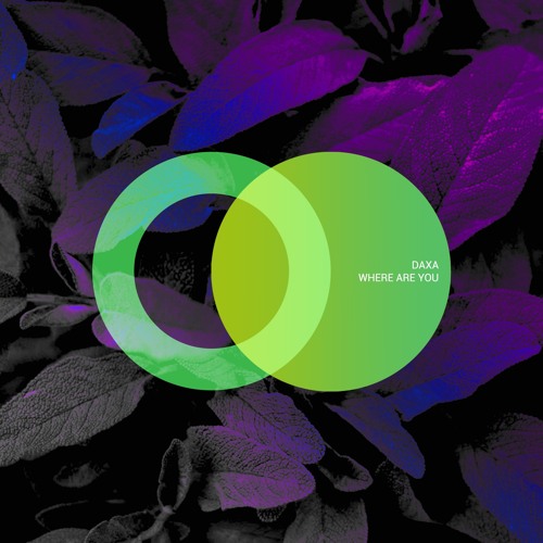 DAXA - Let You Know (Original Mix) 125 D maj.mp3