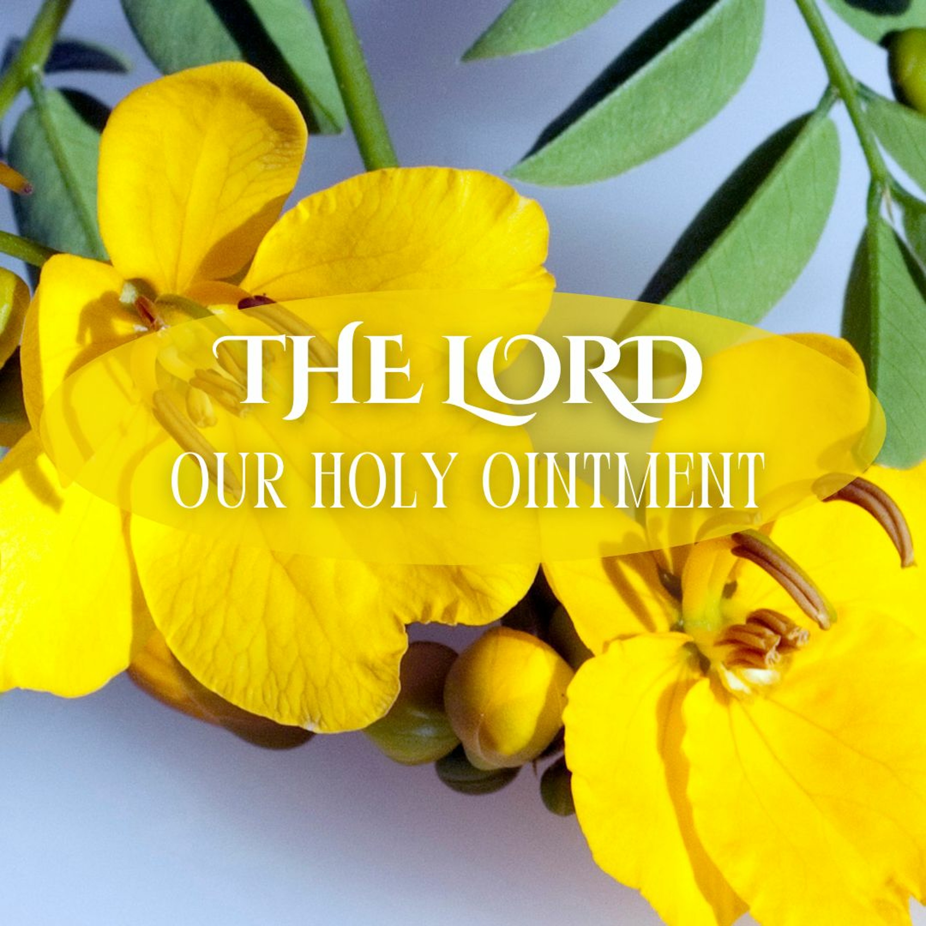 The Lord:  Our Holy Ointment // Pas Subash Cherian episode artwork