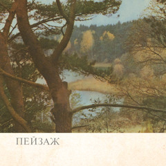 лес