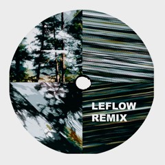 Richy Mitch & The Coal Miners - Evergreen (Leflow Remix)