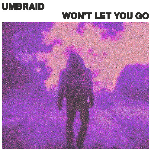 umbraid - Won't Let You Go