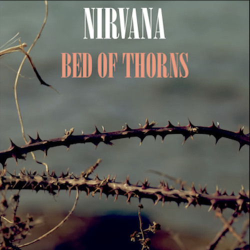 Stream Nirvana Bed Of Thorns [Single] by Great Cornholio Listen