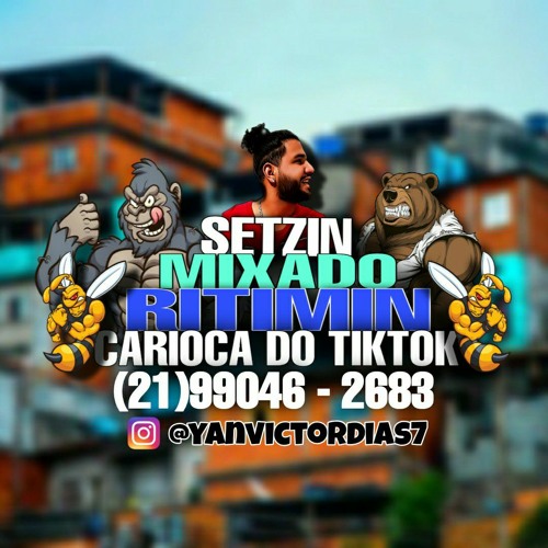 SETZIN MIXADO RITMIN CARIOCA DO TIKTOK 2022 (YANZINV7)