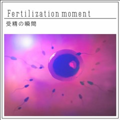 受精の瞬間-Psychedelic Airlines-