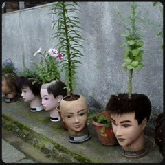 drill it in my brain demo