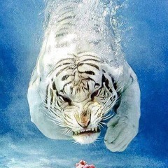 2.04.2010 YNOS early morning waw