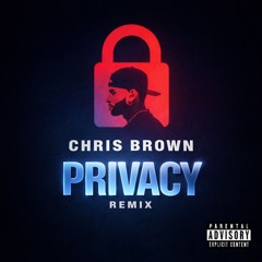 Chris Brown - Privacy  (BKV Remix)