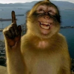 5 MINUTIN PRA SACUDIR O CORPO TODOO KKKKKKK