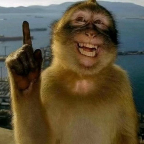 5 MINUTIN PRA SACUDIR O CORPO TODOO KKKKKKK