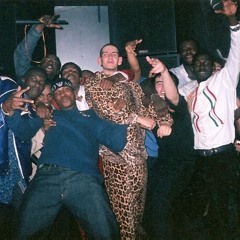 Bassline/donk