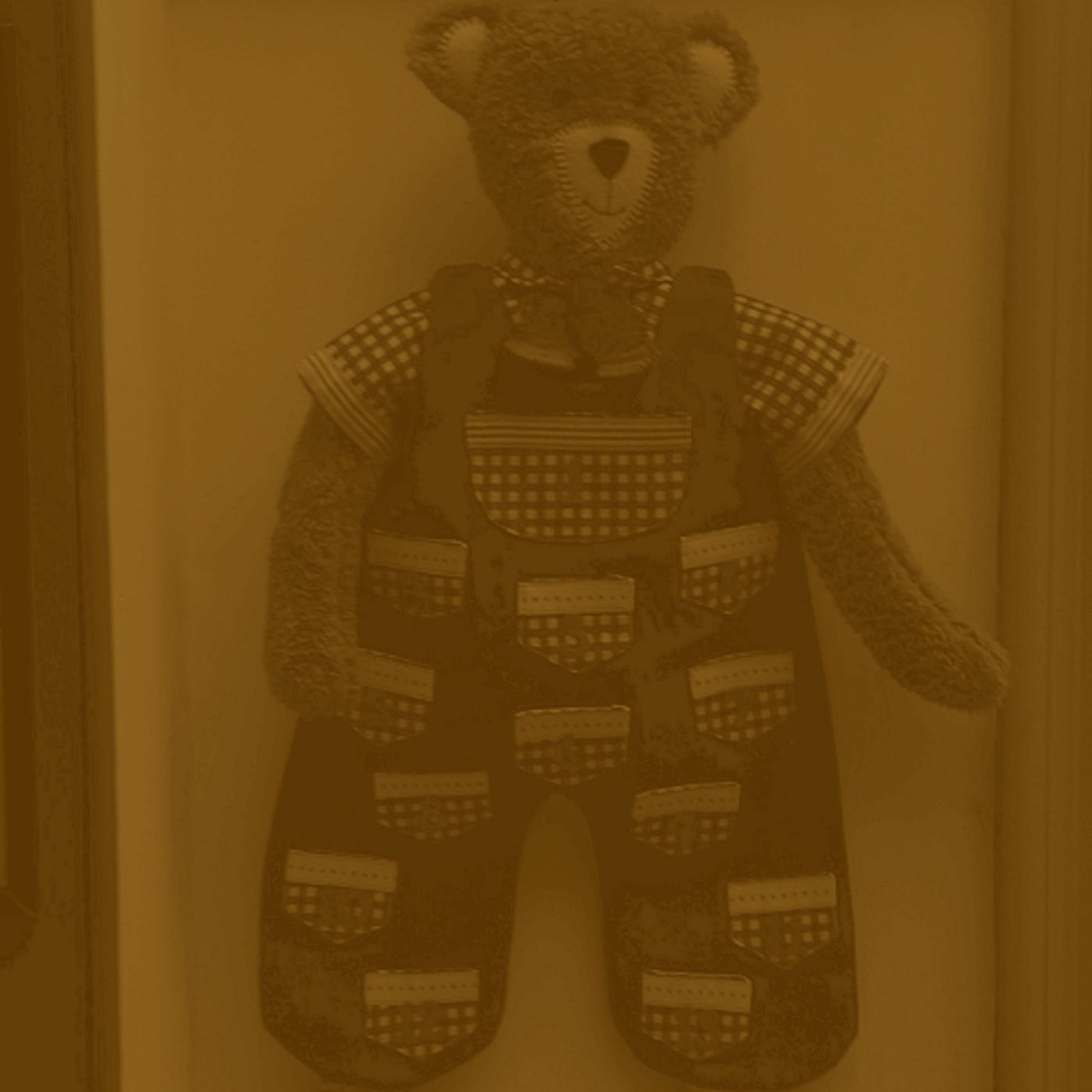 Teaganbear