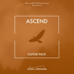Ascend | ILLENIUM Inspired Guitar Sample Pack