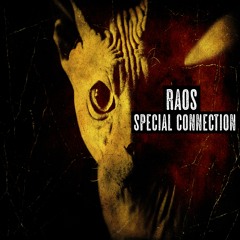Special Connection ( Original Mix ) ⏬ Free Download ⏬