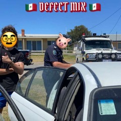 DEFECT MIX