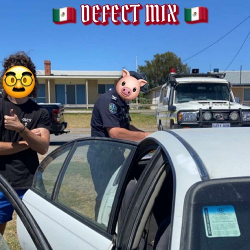 DEFECT MIX