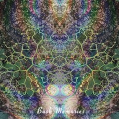 Bush Memories Psychill Mix By DJ B & Tis