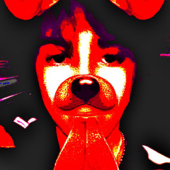 got the paper (junglesick)