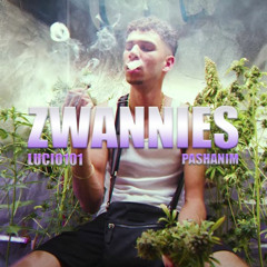 lucio101 x pashanim zwannis