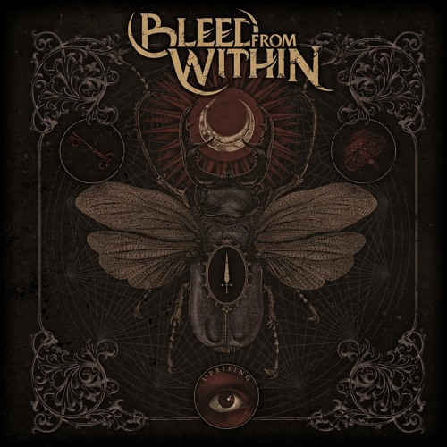 Stream Con-Man | Listen to Bleed From Within playlist online for free ...