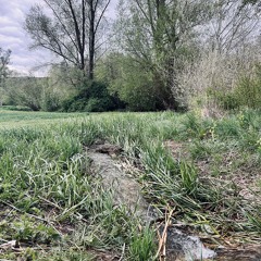 WATRFlow, Creek, Lonesee, Whitenoise, Water, Flowing, Germany